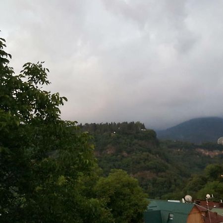 Hillside Orbeliani Residence 보르조미 외부 사진